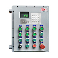ID510 Batching explosion-proof control box
