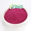 Blackcurrant Extract Powder