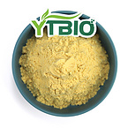 Mango Fruit Powder