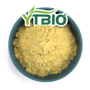 Mango Fruit Powder