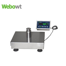 RGS Industrial High Precision Balance