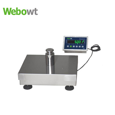 RGS Industrial High Precision Balance