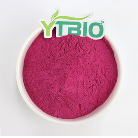 Bulk Dragon Fruit Powder