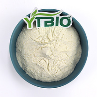 Mangiferin Powder