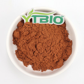 Chlorogenic Acid Powder