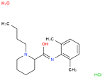 Bupivacaine Hydrochloride