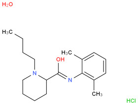 Bupivacaine Hydrochloride