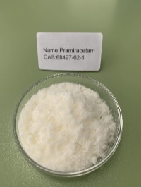 Pramiracetam CAS No.: 68497-62-1 99.0% purity min. for improve cognition