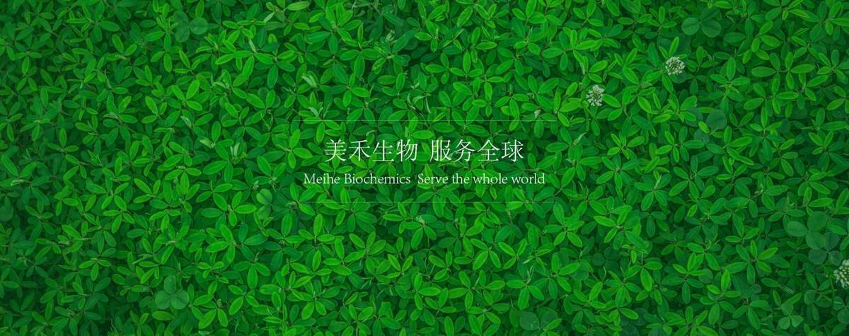 Shaanxi Meihe Biochemics Co.,Ltd.