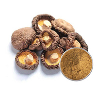 Shiitake Mushroom Extract Powder 10%~50% Polysaccriarides