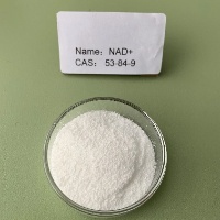 NAD+ CAS No.: 53-84-9 98.5% purity min. Antidepressant