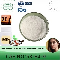 NAD+ CAS No.: 53-84-9 98.5% purity min. Antidepressant