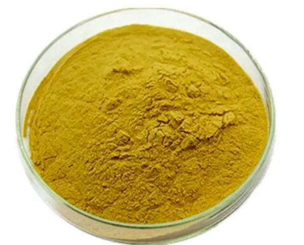 Berberine HCL