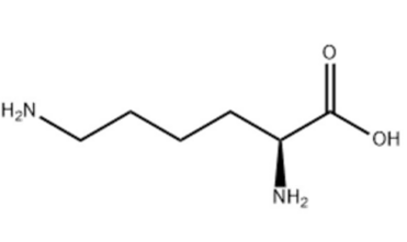 L-Lysine 50%