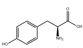 L-TYROSINE