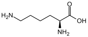 L-LYSINE HCL FEED GRADE 98.5%MIN