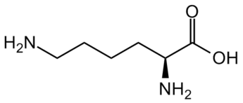 L-LYSINE HCL FEED GRADE 98.5%MIN