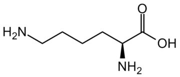 L-LYSINE HCL FEED GRADE 98.5%MIN  