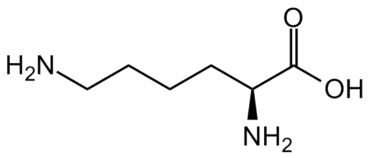 L-LYSINE HCL FEED GRADE 98.5%MIN