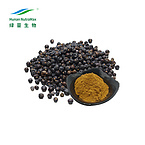 Juniper Berries Powder for Healthcare Supplement