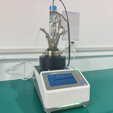 NSG high pressure quick-opening magnetic stirred reactor