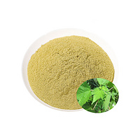 Food Grade Stinging Nettle Leaves Powder for Dietary Supplement