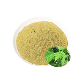 Food Grade Stinging Nettle Leaves Powder for Dietary Supplement