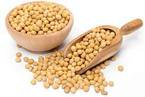 Soybean Lecithin