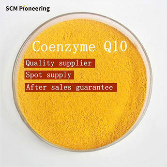 Food grade nutritional supplement Coenzyme Q10 powder