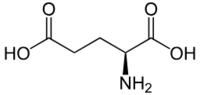 L-Gutamic Acid