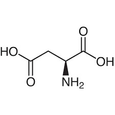 L-Aspartic Acid