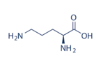 L-Ornithine