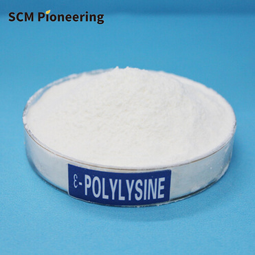 Wholesale 95% Esilon Polylysine for  Food Preservatives CAS 28211-04-3/25104-18-1