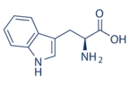 L-Tryptophan