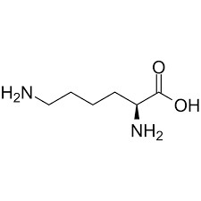 L-Lysine