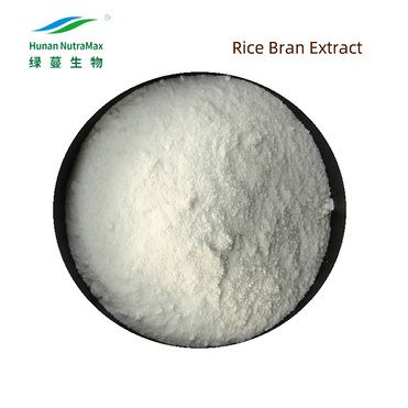 Rice Bran Extract Powder 98% Ferulic Acid