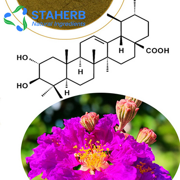 Banaba Leaf P. E.(corosolic acid 1-98%)