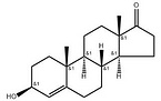 4-DHEA