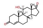 11a-hydroxyandrost-4-ene-3,17-dione