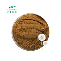 4:1-20:1 Dandelion Root Extract Powder