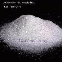 Organic Intermediate Nutritional Supplement CAS 7048-04-6 L-Cysteine HCl Monohydrate