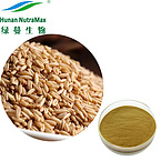 Beta Glucan Powder 20%-70% Oat Extract