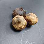 black garlic extract powder