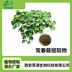 Ivy Extract Powder