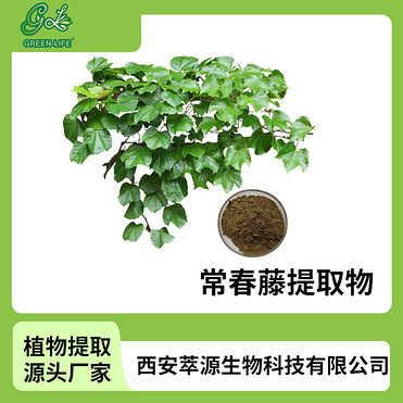 Ivy Extract Powder