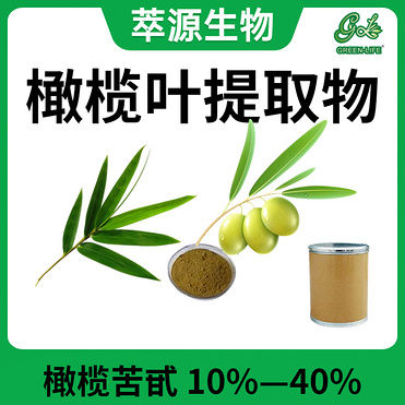 Olive Leaf Powder Extract.