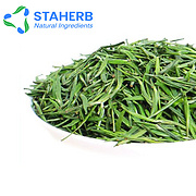 Green tea extract EGCG  green tea polyphenols catechin  epigallocatechin