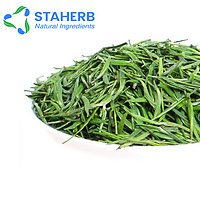 Green tea extract EGCG  green tea polyphenols catechin  epigallocatechin