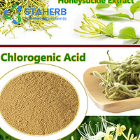 High quality Honeysuckle flower extract,honeysuckle extract powder pure chlorogenic acid 10%-98%
