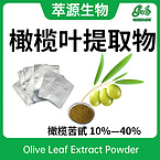 Olive Leaf Powder Extract.